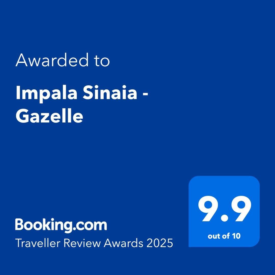Impala Sinaia - Gazelle Apartamento Exterior foto